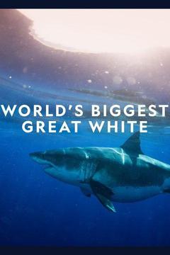 poster for World's Biggest Great White?