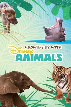 Disney Animals