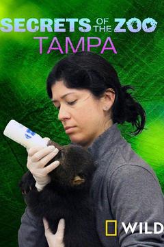 poster for Secrets of the Zoo: Tampa