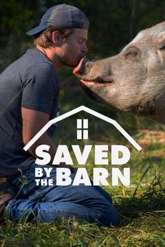 poster for Saved By The Barn