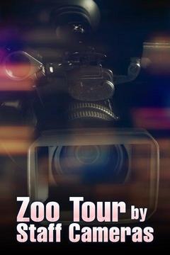 poster for Zoo Tour by Staff Cameras