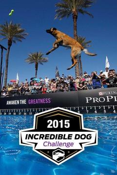 poster for 2015 Incredible Dog Challenge
