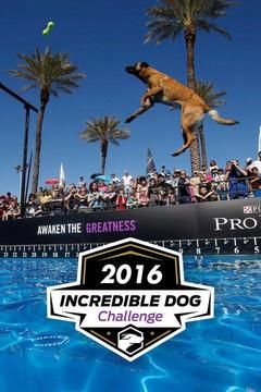 poster for 2016 Incredible Dog Challenge