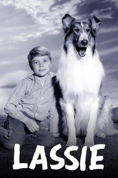 poster for Lassie