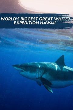 poster for World's Biggest Great White? Expedition Hawaii