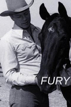 poster for Fury