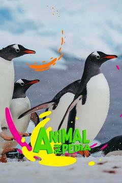 poster for Animal Fanpedia