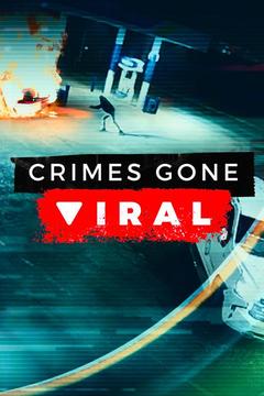 Crimes Gone Viral