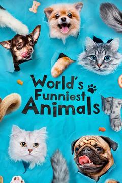 poster for World's Funniest Animals