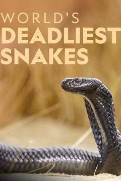 poster for World's Deadliest Snakes