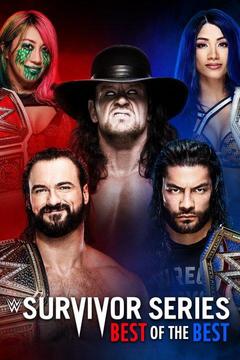 Watch WWE Survivor Series Live! Don't Miss Any of the WWE Survivor