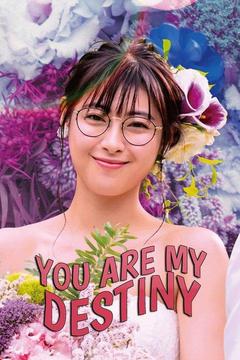 poster for You Are My Destiny