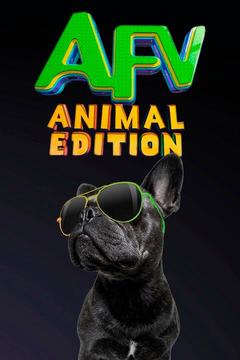 poster for America's Funniest Home Videos: Animal Edition