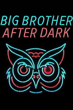poster for Big Brother After Dark