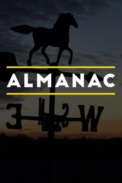 poster for Almanac