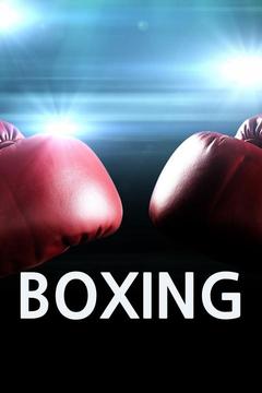 poster for Showtime Boxing Davis vs. Santa Cruz - LIVE