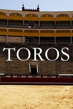 poster for Toros