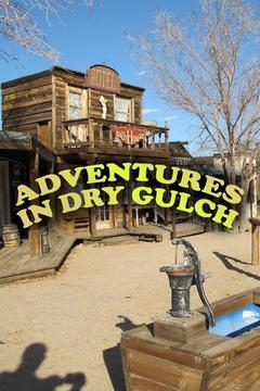 poster for Adventures in Dry Gulch