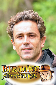 poster for Birding Adventures