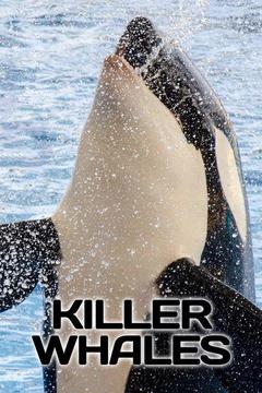 Killer Whales S0 E0 : Watch Full Episode Online 