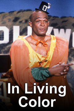 poster for In Living Color