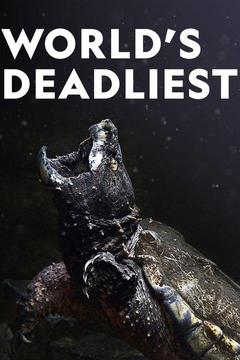 poster for World's Deadliest