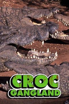 poster for Croc Ganglands