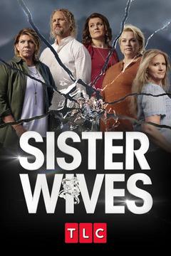 poster for Sister Wives
