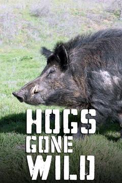 poster for Hogs Gone Wild