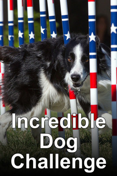 poster for Incredible Dog Challenge & Show Dog Championships