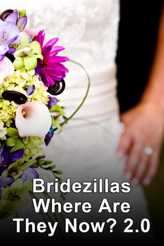 poster for Bridezillas Where Are They Now? 2.0