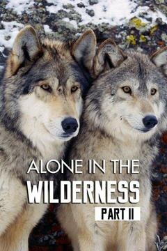 poster for Alone in the Wilderness, Part 2