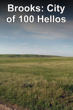 poster for Brooks: The City of 100 Hellos