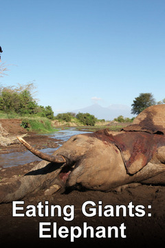 poster for Eating Giants: Elephant