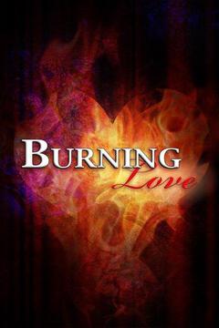 poster for Burning Love