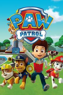 PAW Patrol - Watch Full Episodes of PAW Patrol on DIRECTV | DIRECTV